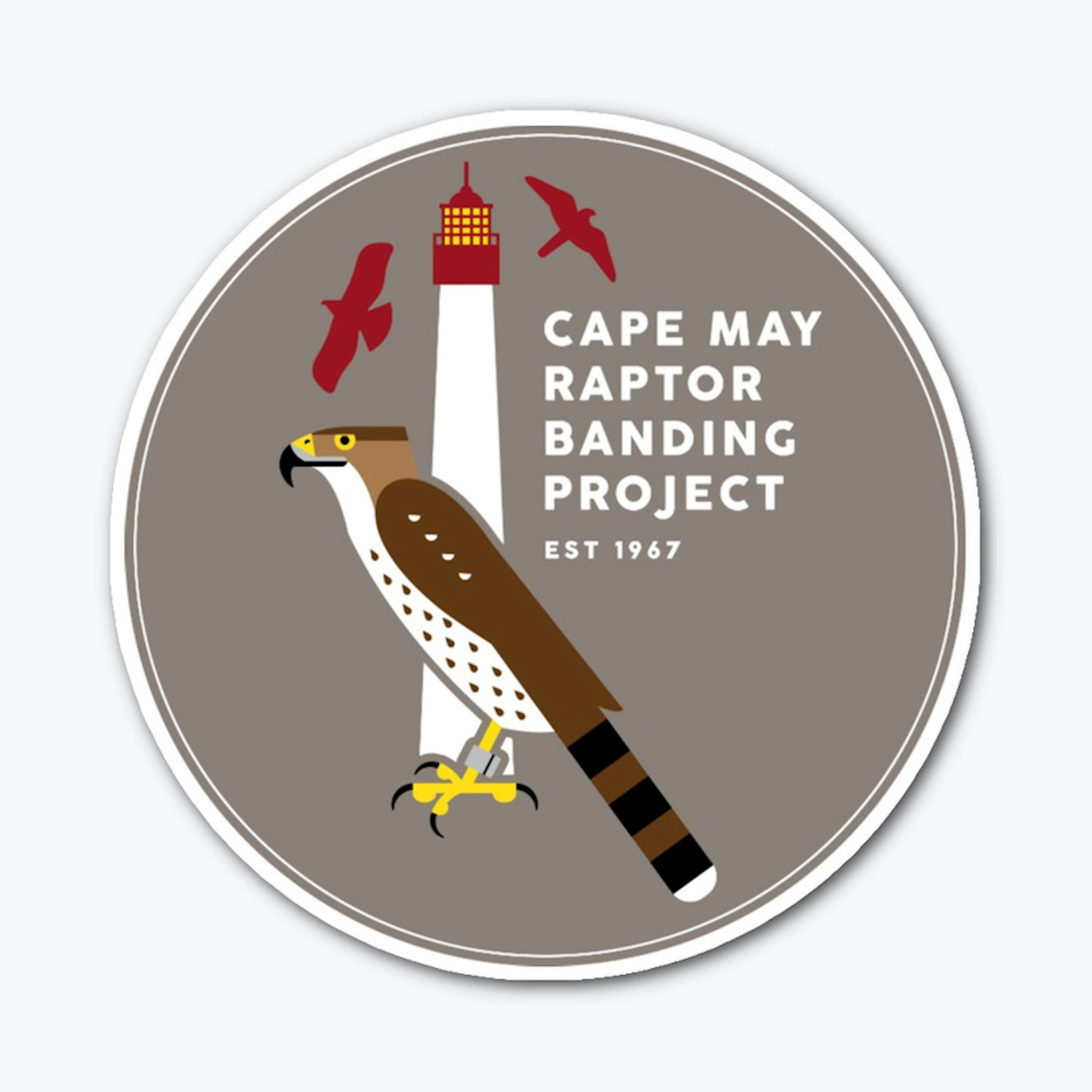 Cape May Raptor Banding Project
